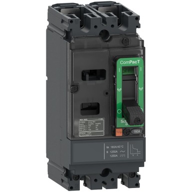 C10F2TM040 - Schneider Electric - Circuit breaker, ComPacT NSX100F AC/DC, 18kA/415VAC, 2 poles, TMD trip unit 40A
