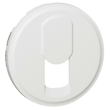 068237 - Legrand - COVER PLATE