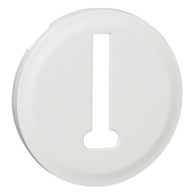 068238 - Legrand - COVER PLATE