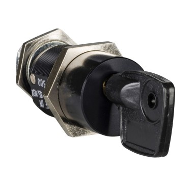 LV833173SP - Schneider Electric - 1 Profalux keylock with 2 keys - not-identified combination - spare part