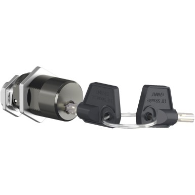 LV833773 - Schneider Electric - MasterPact MTZ1 - frame locking - debro pos - 1 Profalux 1 key + kit