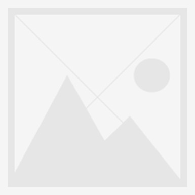 NSYCDBPLM - Schneider Electric - Thalassa PLM - lock with double bar insert (3mm) - rectangular escutcheon