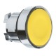 Push Buttons, Pilot Lights