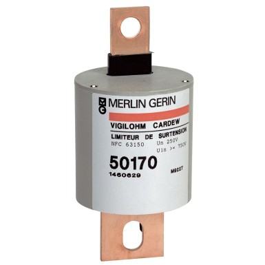 50172 - Vigilohm - auxiliary Cardew cartridge - type 660V - Schneider Electric - Vigilohm - auxiliary Cardew cartridge - type 660V - Schneider Electric - 0