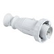 Sockets And Plugs