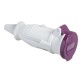 Sockets And Plugs