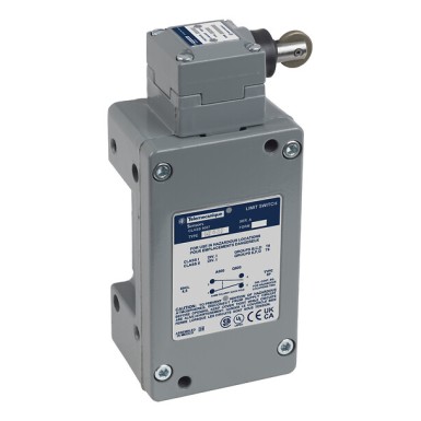 9007BA4S - Telemecanique - Limit switch lever, 9007, 9007C flat steel, fixed length, outside nylon roller
