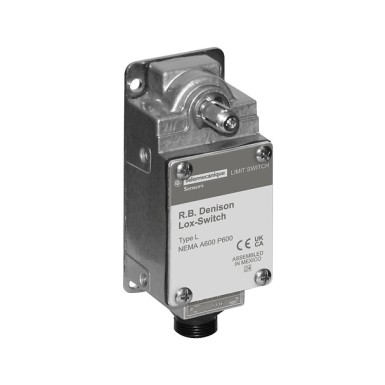 BL100WS2M1 - Telemecanique - Limit switch, L100/300, 600 VAC 10 amp type l options