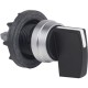 Cam Switches