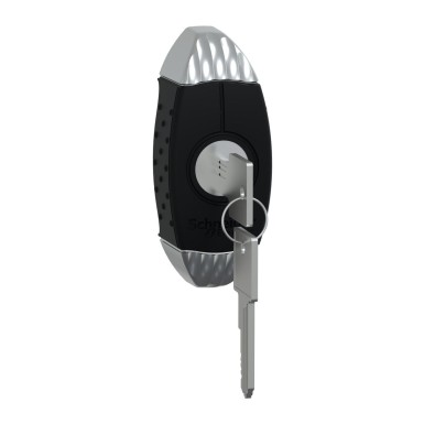 NSYAEDL455S3D - Key handle with key 455 for Spacial S3D encl. - Schneider Electric - Key handle with key 455 for Spacial S3D encl. - Schneider Electric - 0