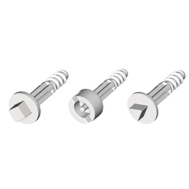 NSYAEDSB320TB - Double bar screws, ?3 mm, for THALASSA boxes with 20 mm cover height. - Schneider Electric - Double bar screws, ?3 mm, for THALASSA boxes with 20 mm cover height. - Schneider Electric - 0