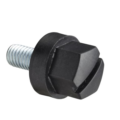 NSYSM10M5HP - Insulated head screw M5x10mm. Supply: 100 units - Schneider Electric - Insulated head screw M5x10mm. Supply: 100 units - Schneider Electric - 0