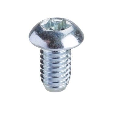 NSYSPM6 - Torx screw T30 (M6x10). Supply: 50 units - Schneider Electric - Torx screw T30 (M6x10). Supply: 50 units - Schneider Electric - 0