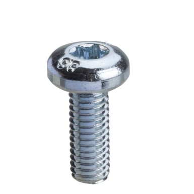 NSYST30M6 - Torx screw M6x16mm without washer. Supply: 100 units - Schneider Electric - Torx screw M6x16mm without washer. Supply: 100 units - Schneider Electric - 0