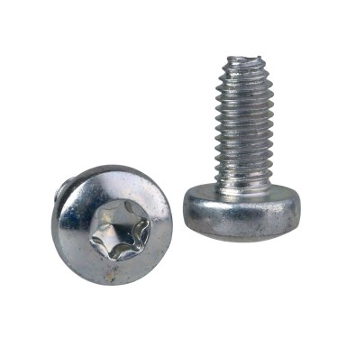 NSYST30M6S - Selftapping Torx screw M6x12mm + captive washer. Supply: 100 units - Schneider Electric - Selftapping Torx screw M6x12mm + captive washer. Supply: 100 units - Schneider Electric - 0