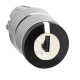 Push Buttons, Pilot Lights