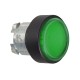 Push Buttons, Pilot Lights