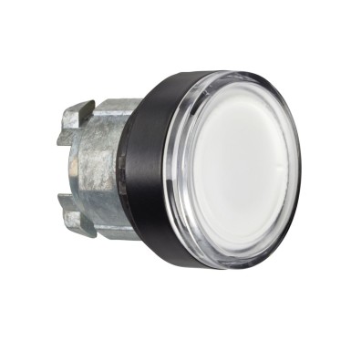 ZB4BW3137 - Head for illuminated push button, Harmony XB4, white flush pushbutton ?22 mm spring return integral - Schneider Electric - Head for illuminated push button, Harmony XB4, white flush pushbutton ?22 mm spring return integral - Schneider Electric - 0