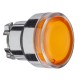 Push Buttons, Pilot Lights