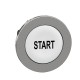 Push Buttons, Pilot Lights