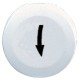 Push Buttons, Pilot Lights