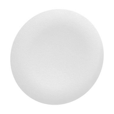 ZBAF1 - Harmony XB4, Harmony XB5, Antimicrobial white plain cap for flush mounted push button - Schneider Electric - Harmony XB4, Harmony XB5, Antimicrobial white plain cap for flush mounted push button - Schneider Electric - 0