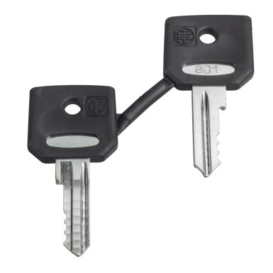 ZBD8D1 - Key, Harmony XB4, replacement accessory, for selector switch and emergency stop push button, Dom 8D1, set of 2 keys - Schneider Electric - Key, Harmony XB4, replacement accessory, for selector switch and emergency stop push button, Dom 8D1, set of 2 keys - Schneider Electric - 0