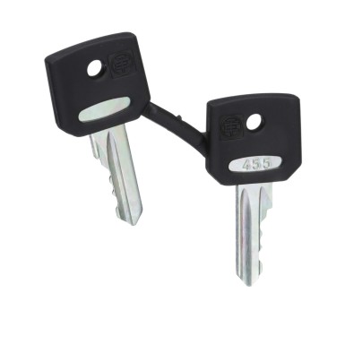 ZBG455 - Key, Harmony XB4, emergency stop push button, key 455, set of 2 keys - Schneider Electric - Key, Harmony XB4, emergency stop push button, key 455, set of 2 keys - Schneider Electric - 0