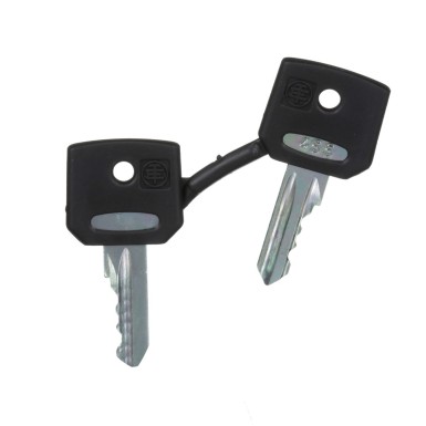 ZBG455 - Key, Harmony XB4, emergency stop push button, key 455, set of 2 keys - Schneider Electric - Key, Harmony XB4, emergency stop push button, key 455, set of 2 keys - Schneider Electric - 3