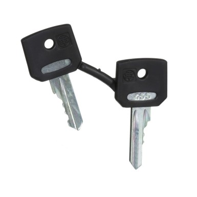 ZBG455 - Key, Harmony XB4, emergency stop push button, key 455, set of 2 keys - Schneider Electric - Key, Harmony XB4, emergency stop push button, key 455, set of 2 keys - Schneider Electric - 2