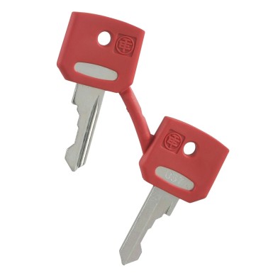 ZBGF034 - RED KEY FIAT - Schneider Electric - RED KEY FIAT - Schneider Electric - 0