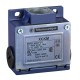 Limit Switches